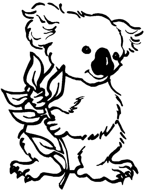easy koala bear coloring sheet