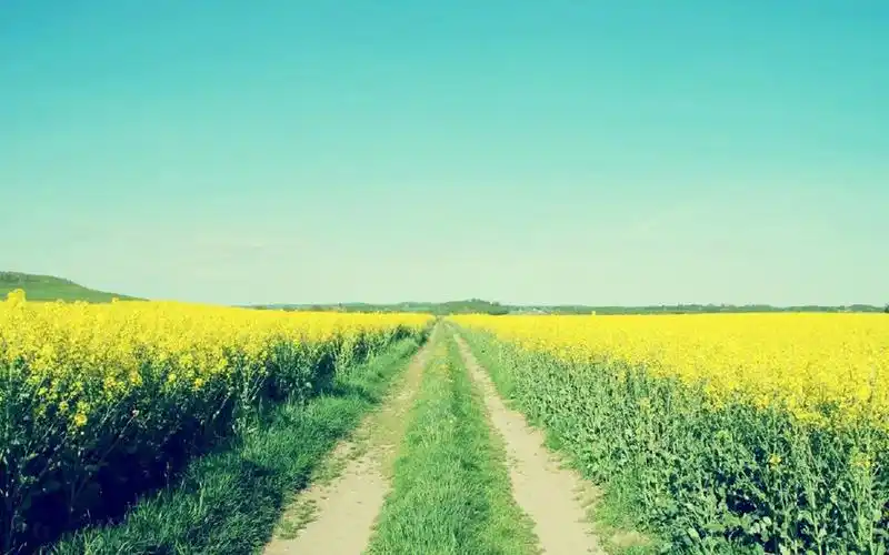 清新护眼风景壁纸_美好意境的风景