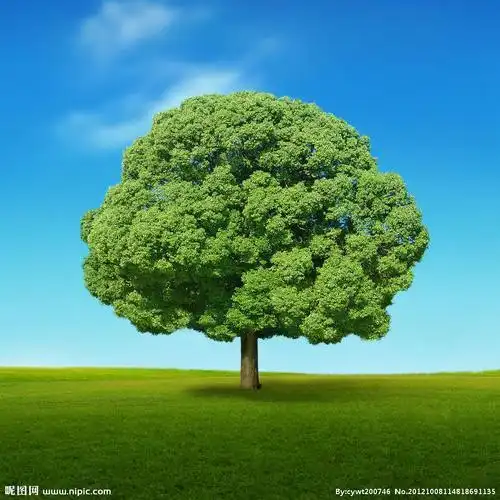 《我是一棵树》