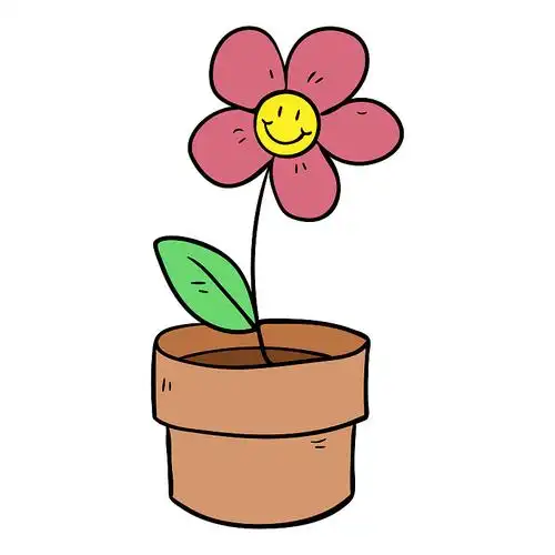 花盆里的一株花图片