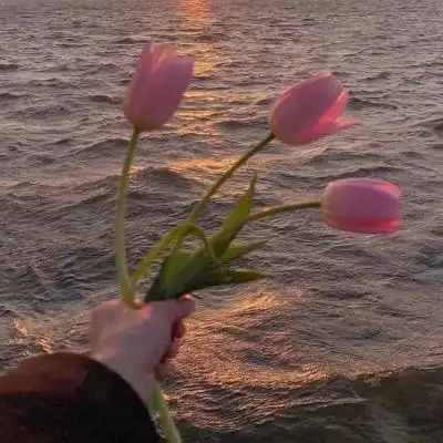 超好看的ins风治愈系风景头像 唯美意境背景图微信热门2023最新