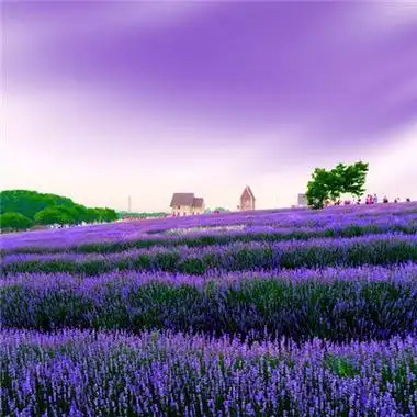 风景头像女人好运头像风景