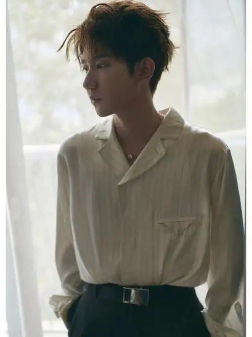 王源声生不息最新造型图