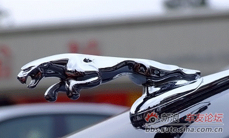 不过出于安全的考虑,很多国家都已禁止立体车标,捷豹的现款车都已经改