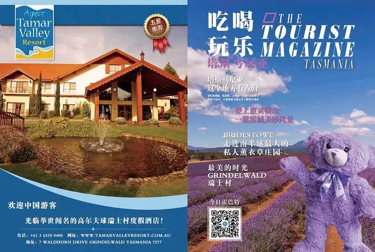 这个封面封底完全按照客户的要求……结果真是不敢直视.