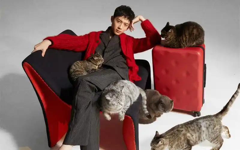 赖冠霖慵懒帅气写真图片桌面壁纸