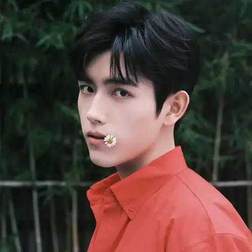 微信头像陈飞宇