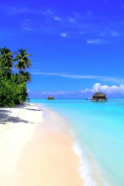 芥末蓝的海 - 马尔代夫蜜月岛之梦幻海洋