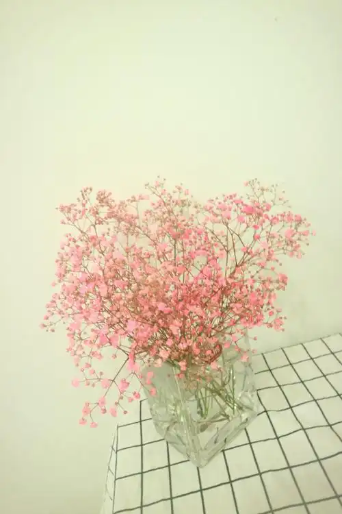 满天星 - 堆糖,美图壁纸兴趣社区