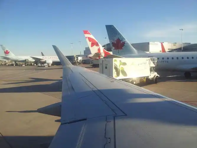 在加拿大多伦多机场阅读网易新闻(实拍)