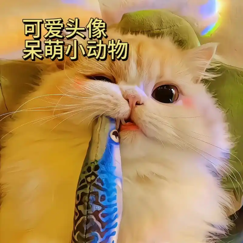 可爱头像呆萌小动物.#猫咪头像 #萌宠头像 #谁能拒绝傻憨憨 - 抖音