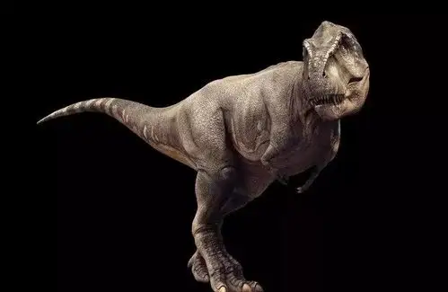 都说霸王龙是恐龙界的王者,那你知道它的"远房表哥"吗?_暴龙