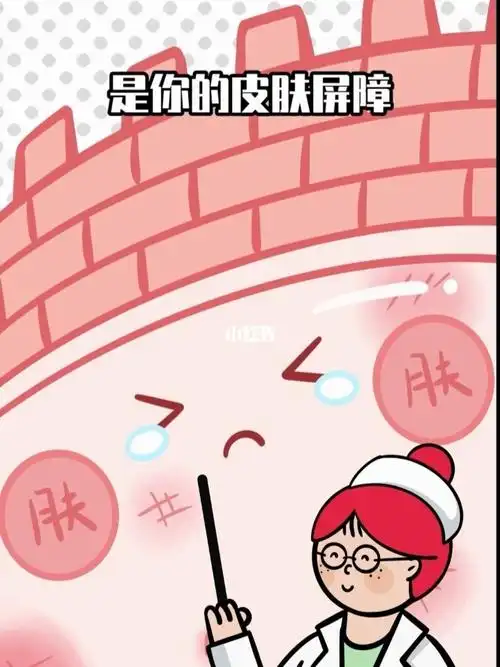 皮肤屏障是怎么回事