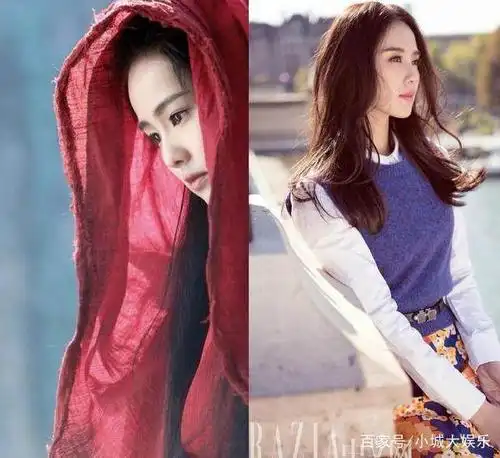 有网友抛出剧中的一张图表示,白鹿的侧脸神似刘诗诗,下面是网友合成的