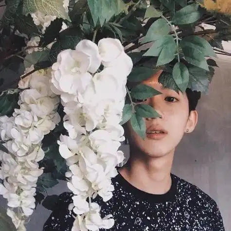 森系简约清新头像男头搞怪韩欧美潮个性正太或南或北