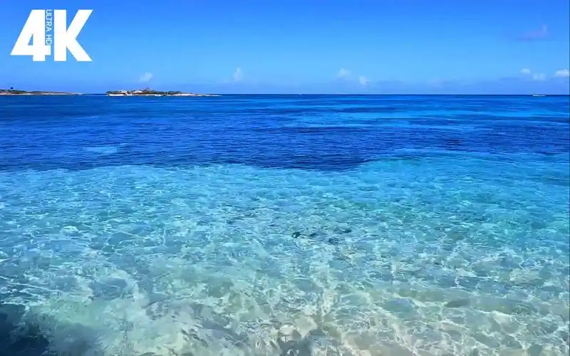 4k 听涛-干净世界