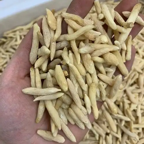 山麦冬湖北麦冬500克大颗粒三货源品种齐全