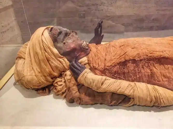 进入金字塔的人无一例外得病死去 意外发现木乃伊千年不腐