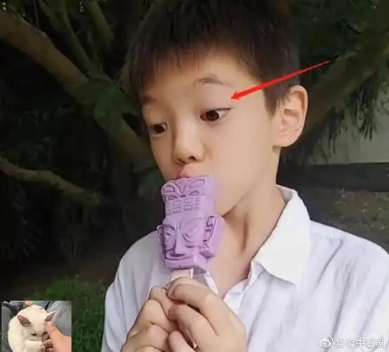 霍思燕晒嗯哼吃雪糕照,曾撞脸"胡一统"和李现,眼睛变化成亮点