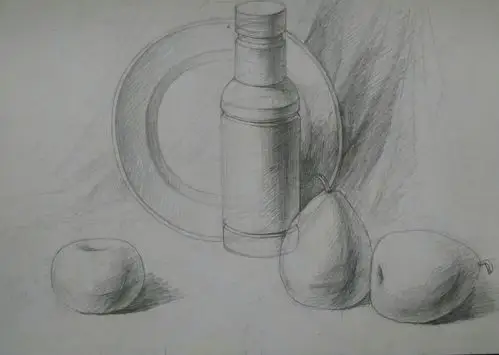 素描静物入门