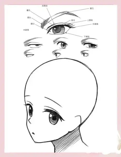 🎨 从零开始学漫画:头部旋转与五官基础
