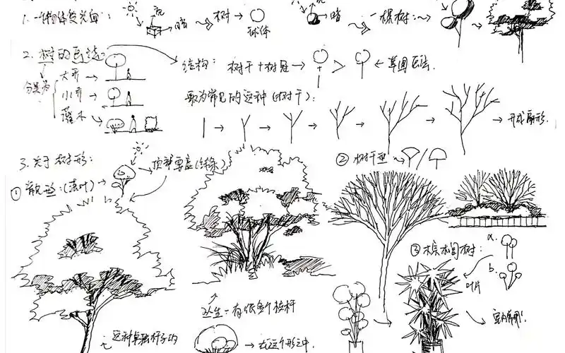 润下课堂景观手绘教程常用树木的表现技法p1