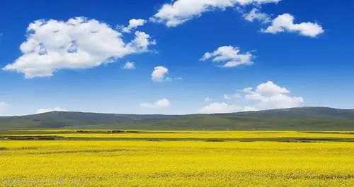 蓝天白云草原图片