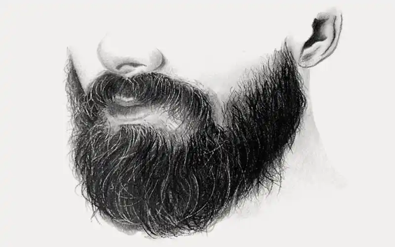 【素描】dibujos a lapiz教你用炭笔绘画逼真胡子