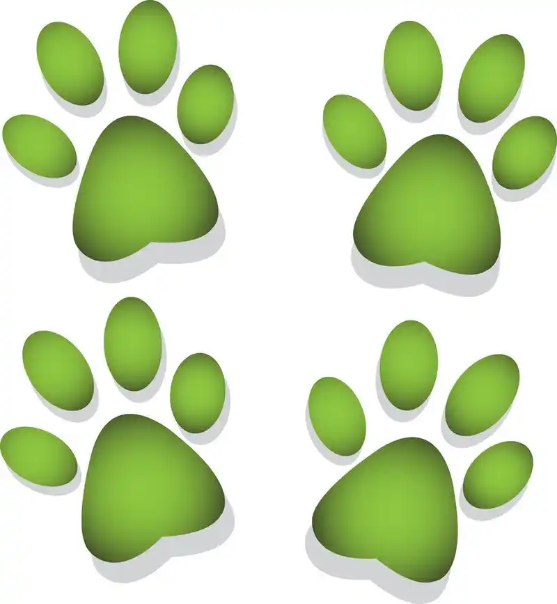 一个动物的足迹,股票的图像-绿色足迹动物.