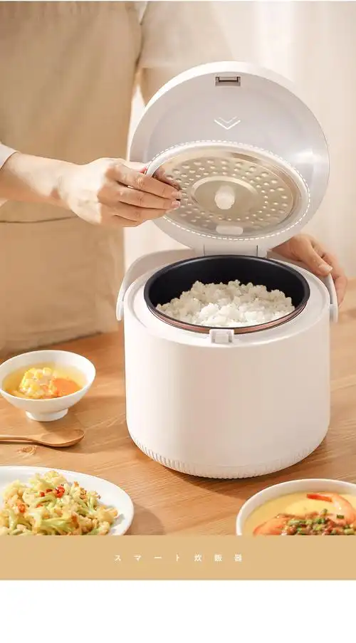 ceool迷你电饭煲家用便携小型电饭锅智能预约定时多功能2l小电饭煲