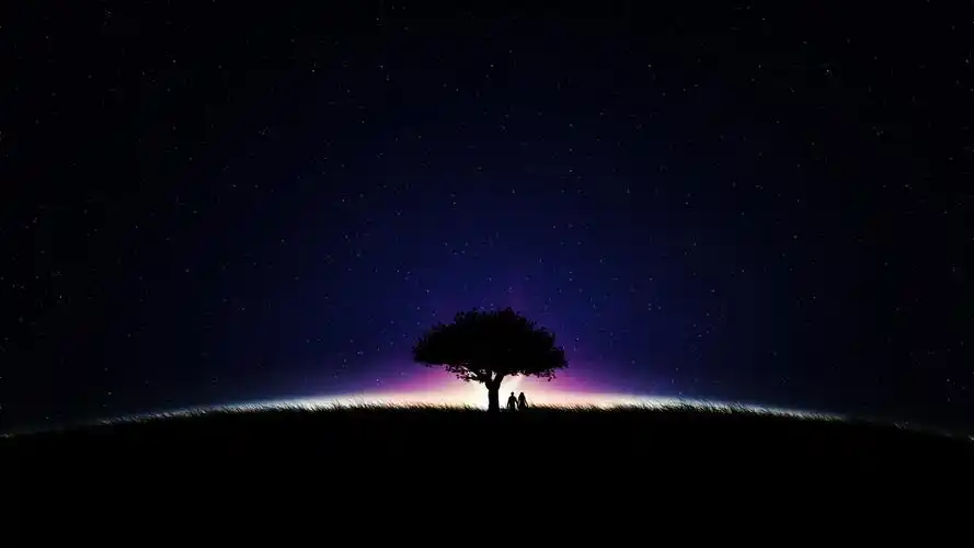 浪漫星空 树 情侣牵手唯美壁纸
