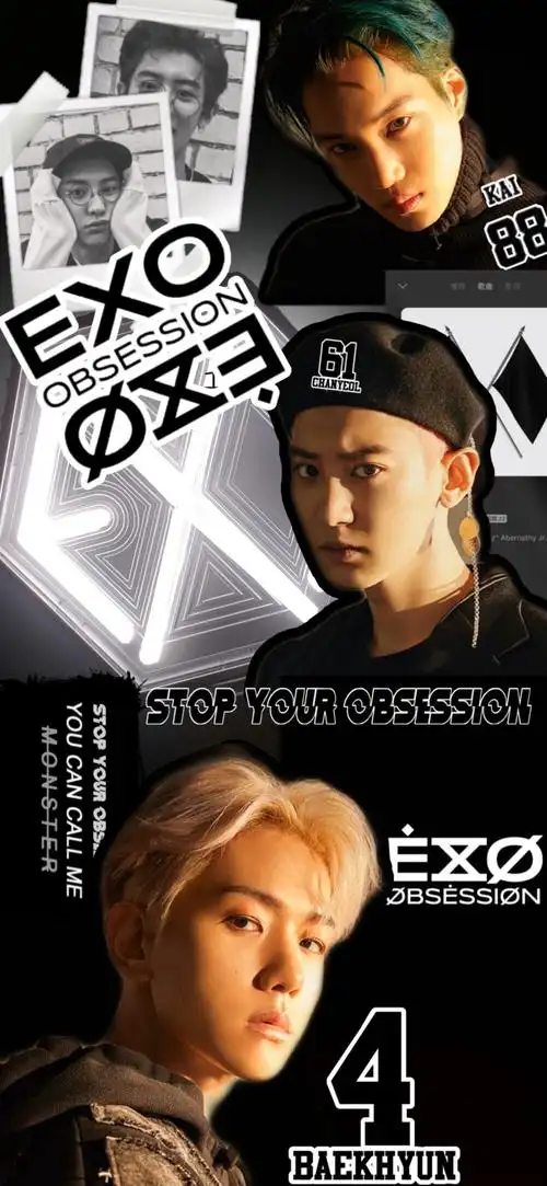 exo obsession 朴灿烈 边伯贤 金钟仁