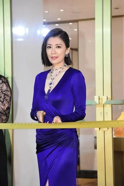 贾静雯穿v领开衩礼服秀美腿 戴珍珠彩宝首饰贵气十足_手机搜狐网