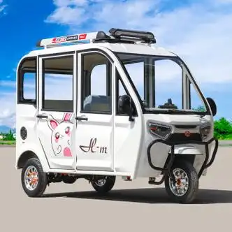 绿野客带棚电动车三轮电动三轮车家用小型老成年人接孩子女士代步带棚