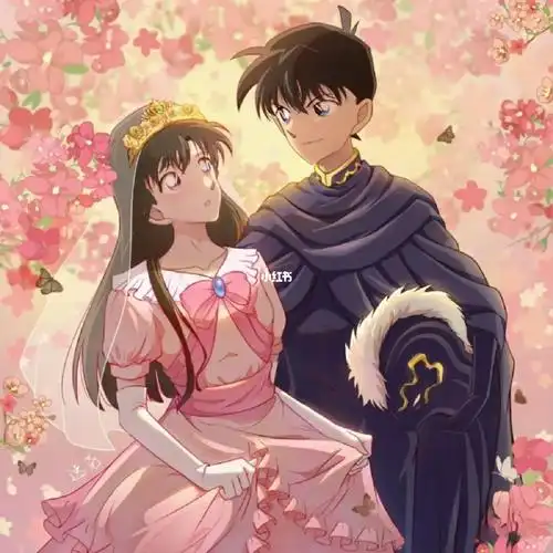 新兰结婚之恋14