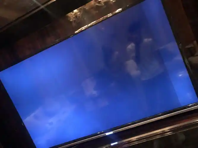 海信电视这样是屏幕排线坏了吗?