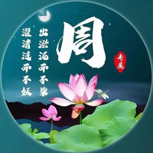 30张百家姓荷花图,可换成微信头像!_姓氏