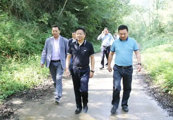 区长曹俊强深入两河镇督导检查"两对两补"工作情况