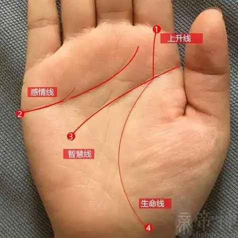 有些人说手相婚姻线有岛纹是不吉利的象征,百分之百会离婚,这是真