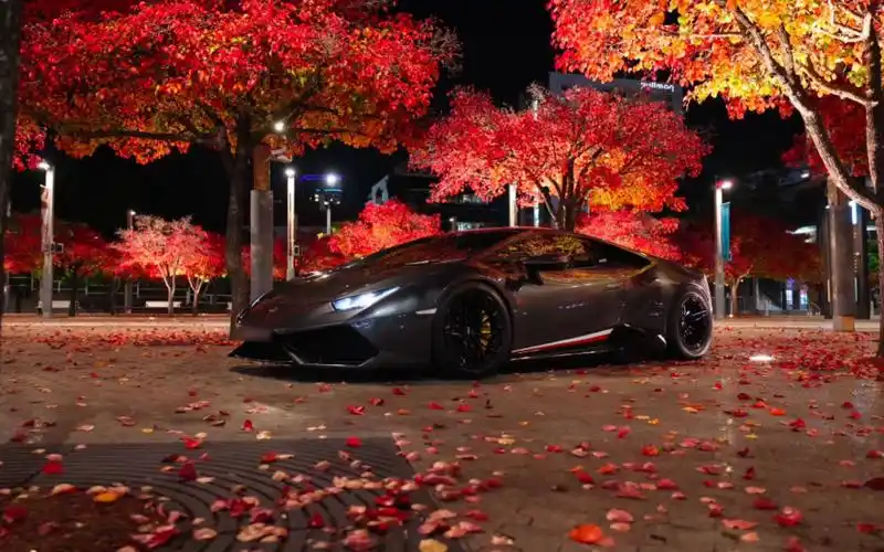 超跑世界顶级跑车!