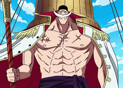 海贼王##热血动漫