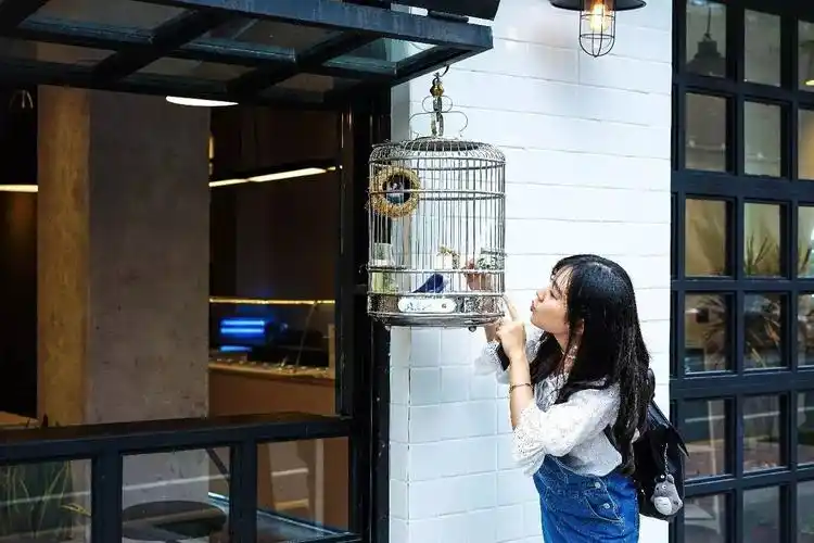 ins性冷淡风,很艺术的沙拉加上经常出没的网红…这个夏天就约在这啦!