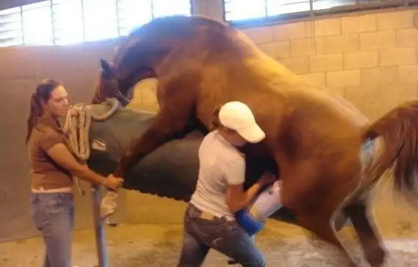 女性采精师亲自为男人撸管取精场面相当火爆附图2