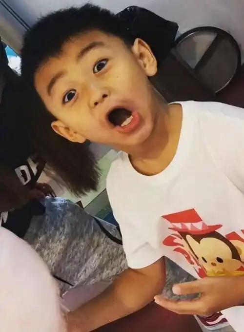 老大老二很像谢霆锋,三胎儿子终于出镜_男孩子_小王子_谢振轩