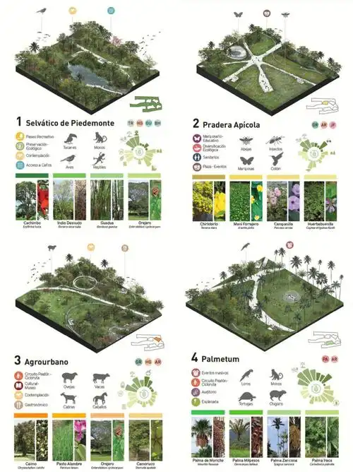 设计素材景观生态设计分析图