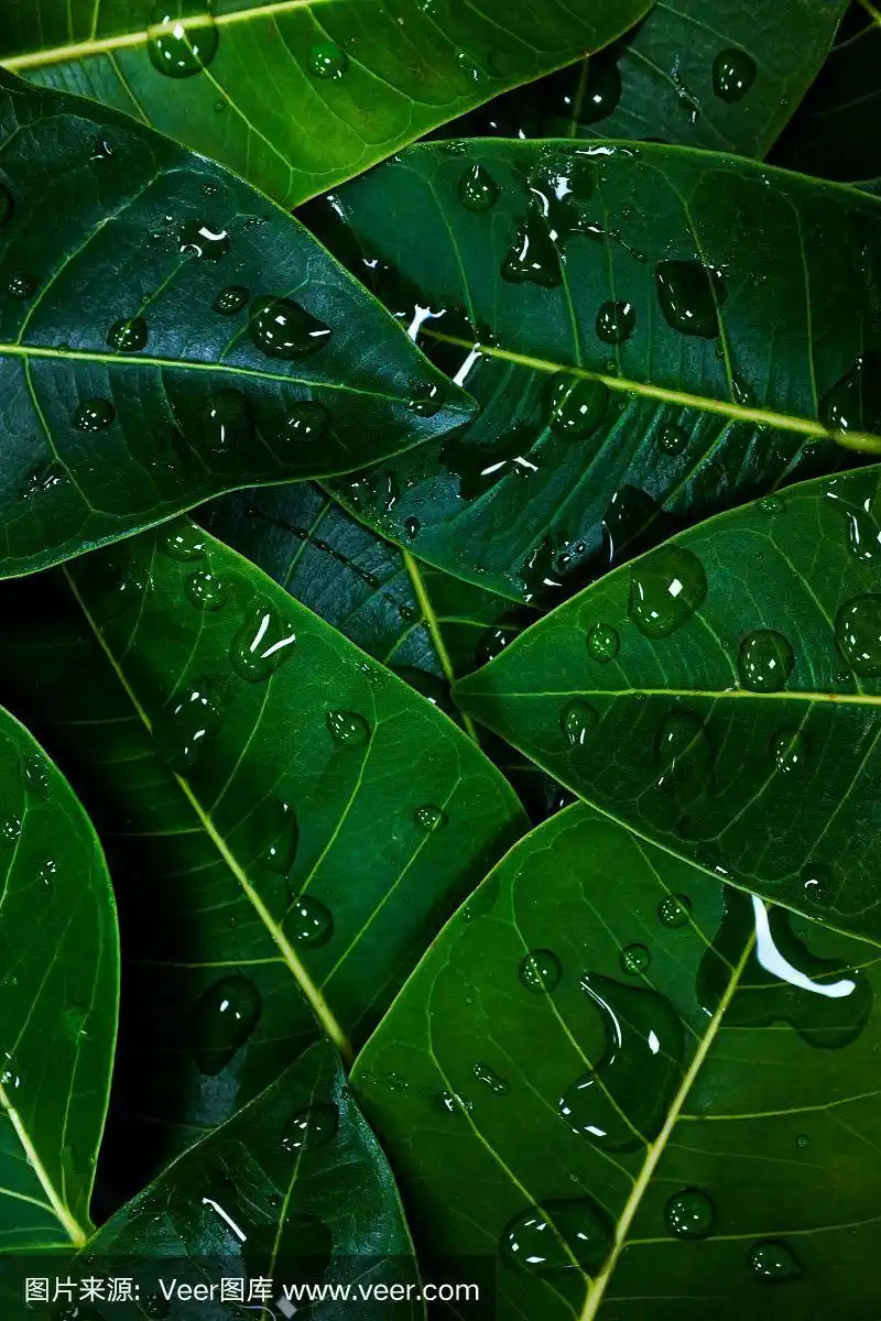 800_1200竖版 竖屏