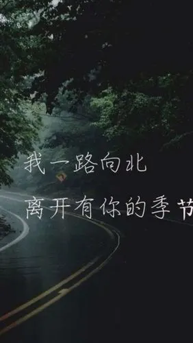 我一路向北.离开有你的季节.