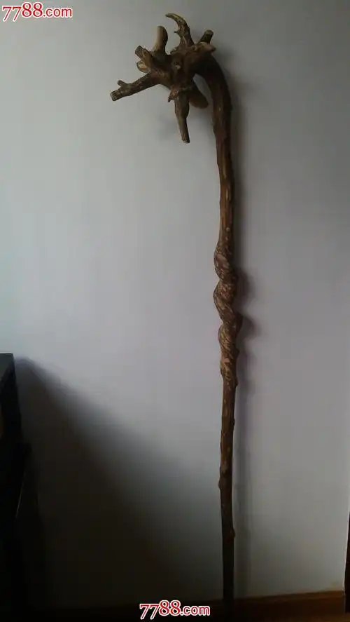 世间独一无二的龙头拐杖