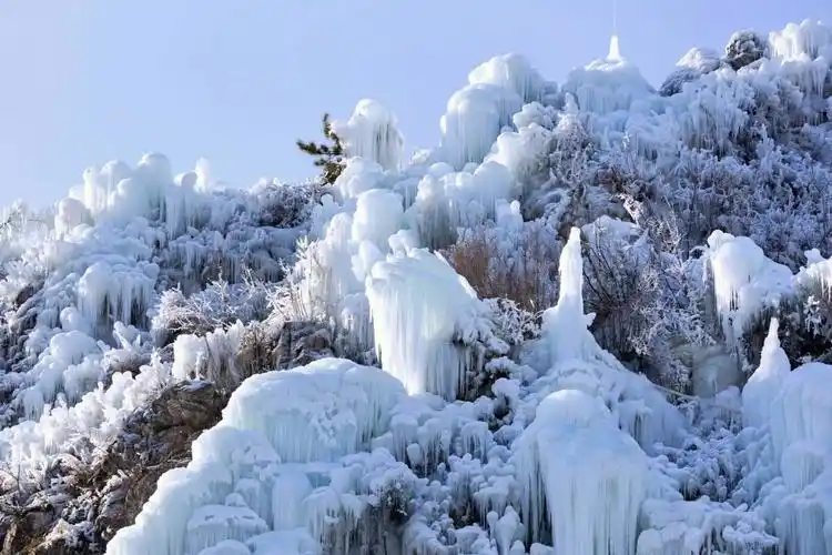 东北的冬天虽然寒冷,但景色确是很美的