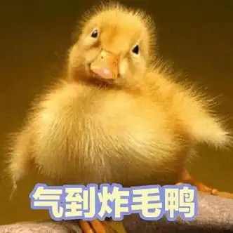 气到炸毛鸭 - 斗图表情包 - 斗图达人